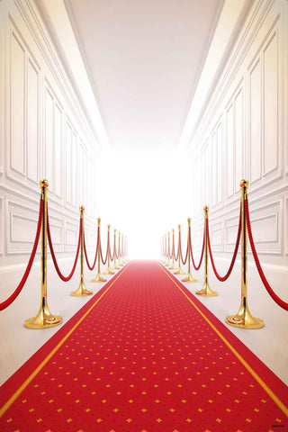 Red Carpet Backdrops Party Background Wall Backdrop