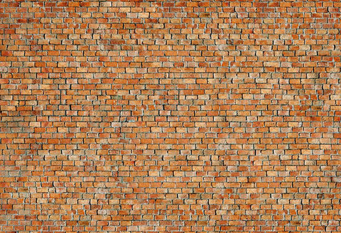 Antique Red Brick Texture Backdrops for Photography D145