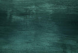Portrait Photography Backdrop Old Green Wall D34