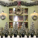 Fondo-de-fotografía-de-la-tienda-del-árbol-de-Navidad-D917