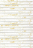 Madera Artística Blanca Cremosa Telones de Fondo de Fotos Floor-160