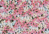 Patterned Backdrops Flower Backdrop Pink And White Backgrounds G-606