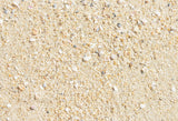 Sandy Beach Summer Holiday Photo Backdrop GA-42