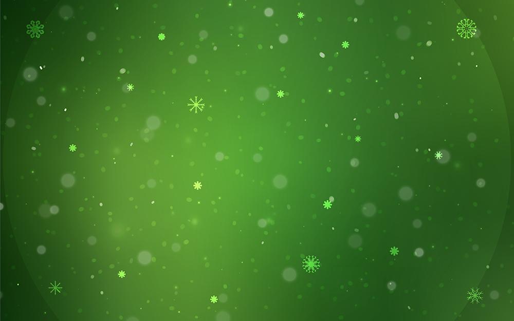Green Snowflake Christmas Backdrops for Photography DBD-19297