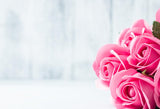 Telones de Fondo de San Valentín Telón de Fondo de Amor Fondo Rosado HJ03244
