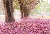 Fondo Fotográfico para Eventos del Camino con Flores Rosas HJ04111