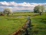 Backdrop by Theme Cloud Backdrops Farm Backgrounds