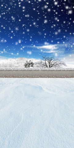 Season Backdrops Winter Backdrops Snowy Backgrounds Snowflake J02729