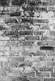Black Grunge Wall Backdrops for Photo Shoot J02738