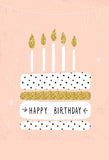 Happy Birthday Backdrop Cake Backdrops The Candle Background J04271