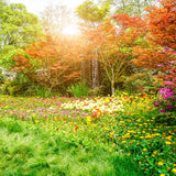 Beautiful Flowers Green Park Backdrops for Photography J05486