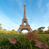 Paris Landmarks Eiffel Tower Green Grass Backdrop for Photography J05490