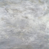 Gray Concrete Wall Texture Portrait Backdrop