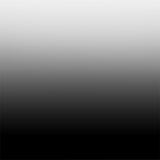 Dark Drey  Graduate to White Backdrops for Photographers Q1