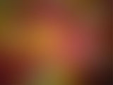 Blurred Abstract Texture Backdrop for Photography