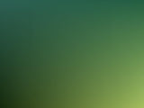 Abstract Green Black Gradient Texture Portrait  Backdrop