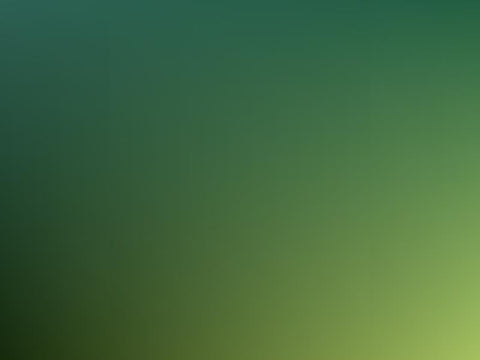 Abstract Green Black Gradient Texture Portrait  Backdrop
