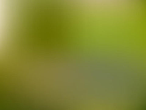 Fondo De Estudio De Textura Abstracta Degradado Verde RI-67