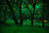 Firefly Mystic Tree Forest Photo Booth Backdrop
