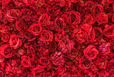 Fondo de Fotografía de Boda de Flor de Rosa Roja SH-994