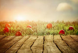Sunset Green Grass  Easter Eggs Photo Booth Backdrop SH083