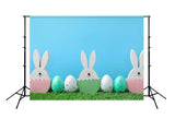 Easter Bunny Eggs Green Grass Photo Studio Backdrop SH123