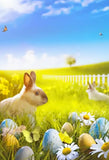 Spring Bunny Easter Eggs Backdrop for Photo Shoot SH-216
