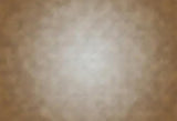 Brown Blurred Abstract Texture Photography Backdrop SH221