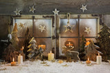 Children Bear Lovely House Wood  Christmas Backdrops DBD-19292