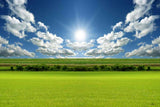 Festival Backdrops Season Background Summer Sky Backdrops X83-E