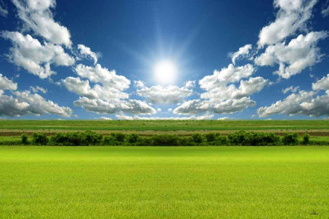Festival Backdrops Season Background Summer Sky Backdrops X83-E