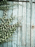 Light Green Gate Green Plants Climbing The Wall Photo Backdrop KAT-142