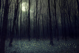 Fondo de Halloween Fondo del Festival Telón de Fondo de Luz de Luna Blanca Oscura y Bosque Oscuro DBD-H19022