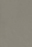 Grey Solid Abstract Texture Photo Backdrop LV-066