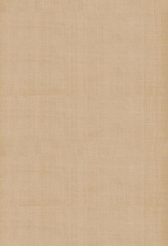 Brown Abstract Textured Photo Backdrop for Studio LV-072