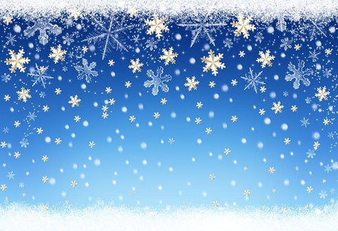 Winter Wonderland Backdrop Snowy Background